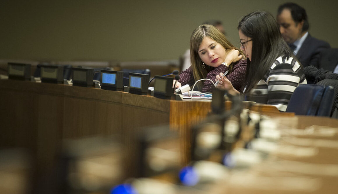 Briefing on Work Programme of Commission for Social Development at the UN Department for Economic and Social Affairs (DESA)