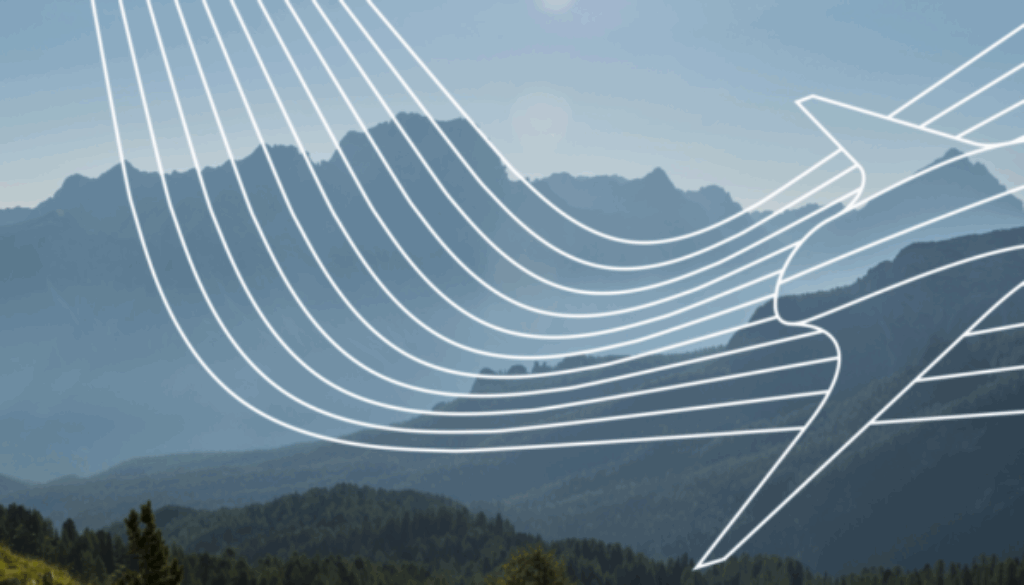 The Cluster of Excellence SE²A - EXC 2163