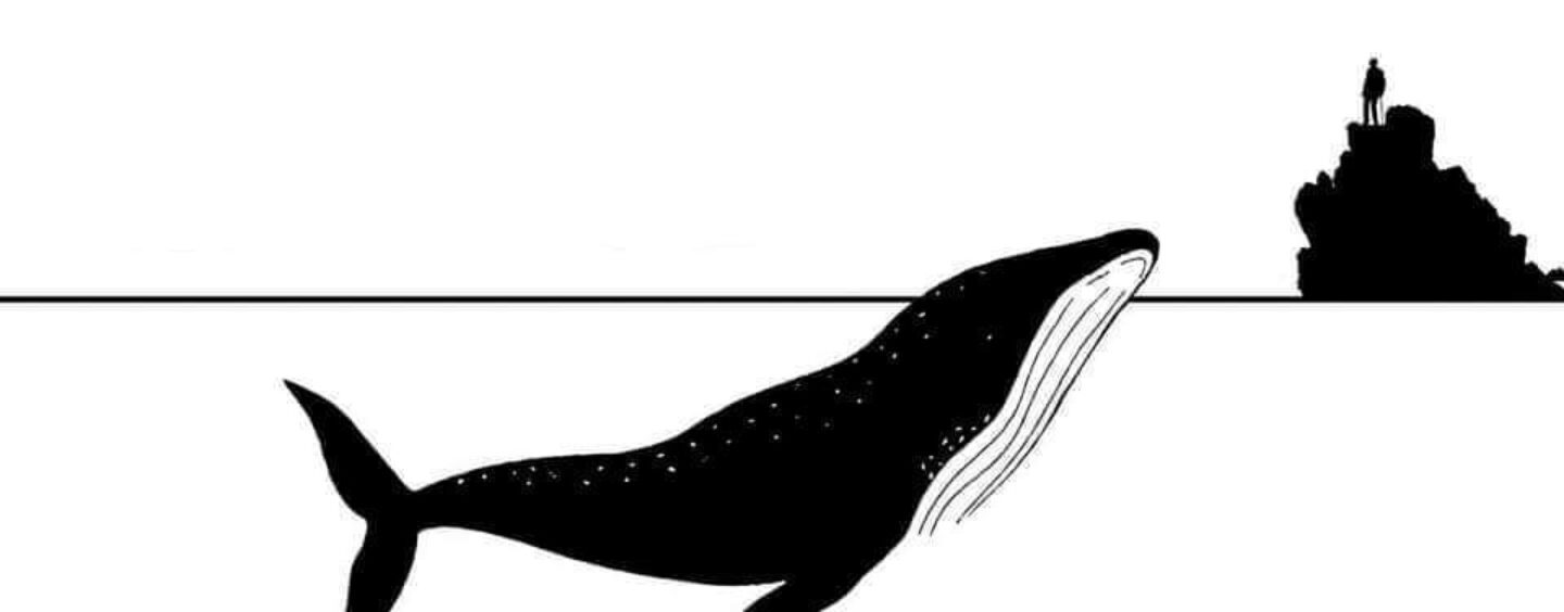 Lettura teatrale “La Balena della Groenlandia ha 211 anni” e laboratorio “Balene”