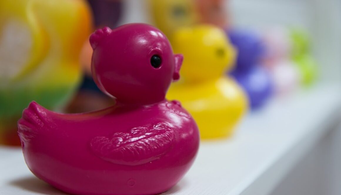 anatre giocattolo colorate