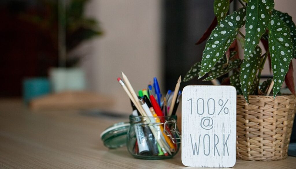 scrivania con penne piantina