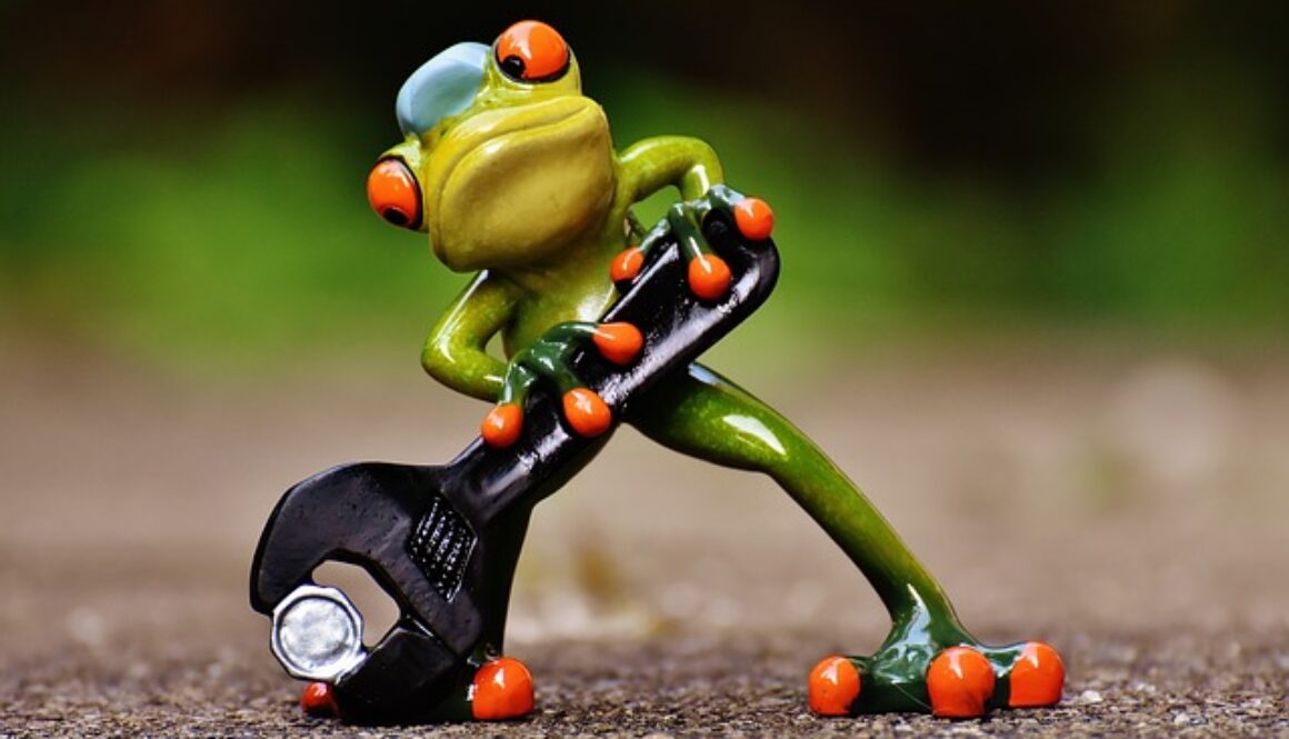 rana pupazzetto con chiave inglese e bullone