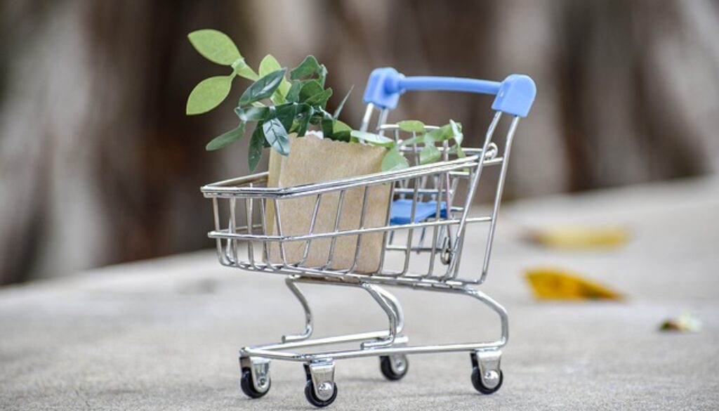 carrello giocattolo con borse della spesa