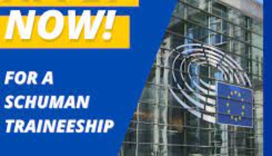 European Parliament traineeship