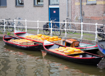 Amsterdam, Utrecht, L’Aia: idee per fare volontariato, un tirocinio o un lavoro stagionale nei Paesi Bassi
