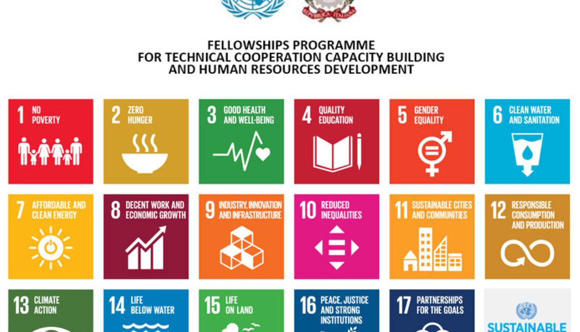 Fellowships_Programme_for_Technical_Cooperation_Capacity_Building_and_Human_Resources_Development
