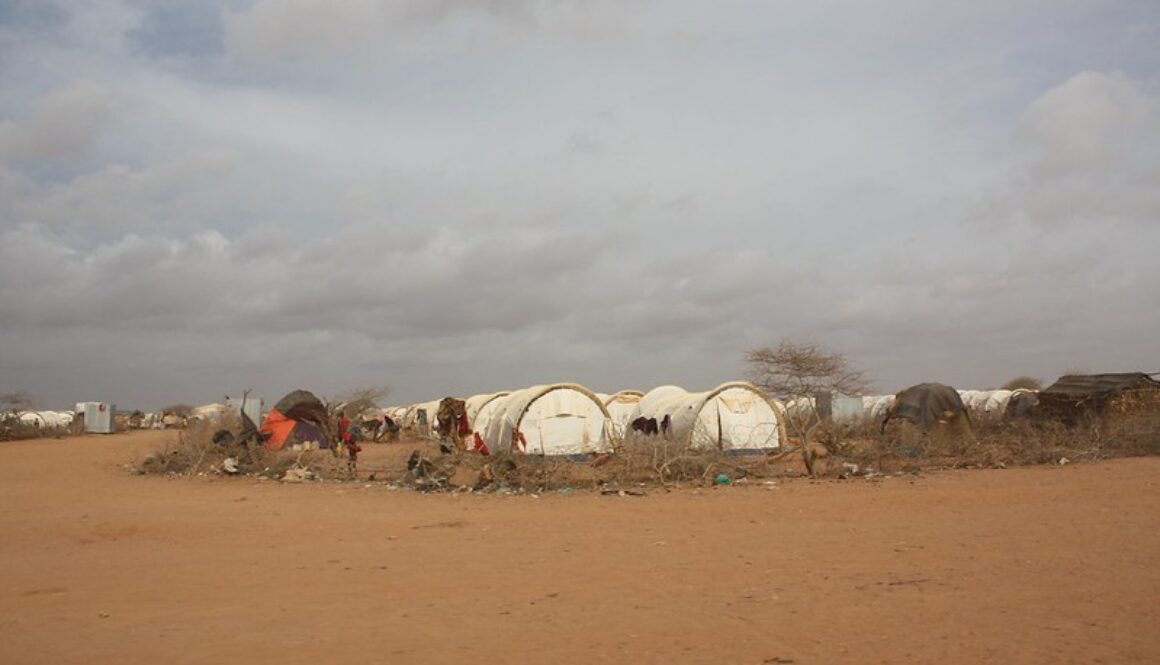 Tents ("homes") set up by UNHCR