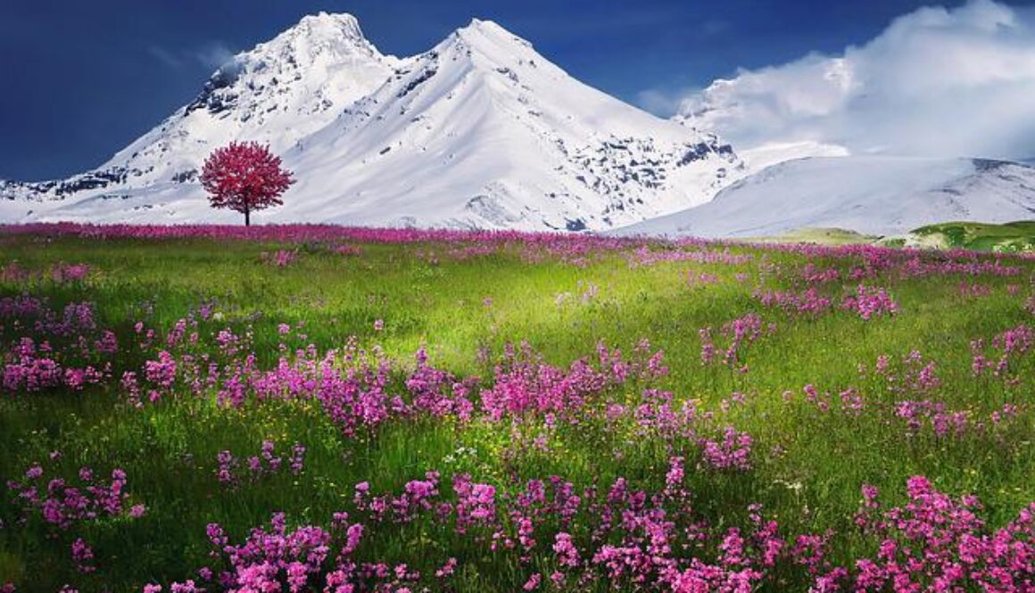 montagna con neve e fiori viola
