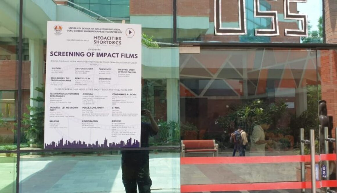 MegaCities-ShortDocs