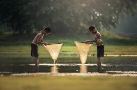 Agenda 2030, Obiettivo 6: acqua potabile e servizi igienico-sanitari