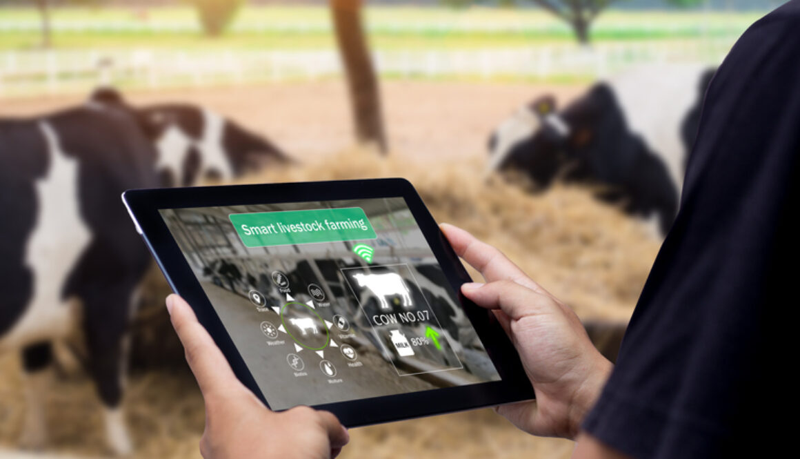 Smart Agritech livestock farming.