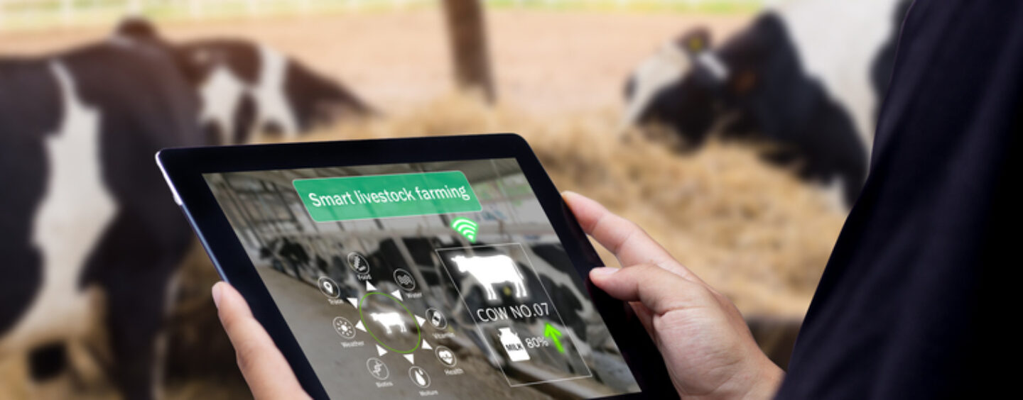 Erasmus+ Edutraining Digital Livestock