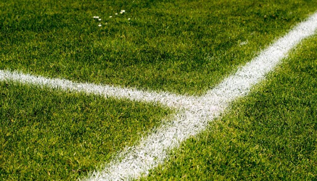 dettagli di un campo di calcio