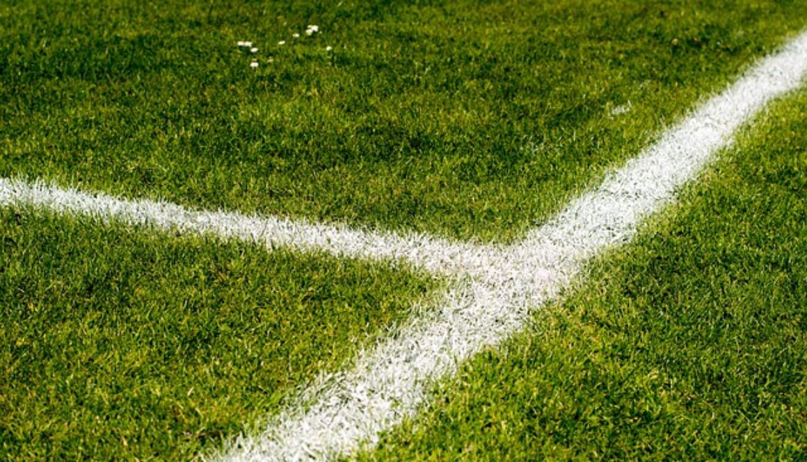 dettagli di un campo di calcio