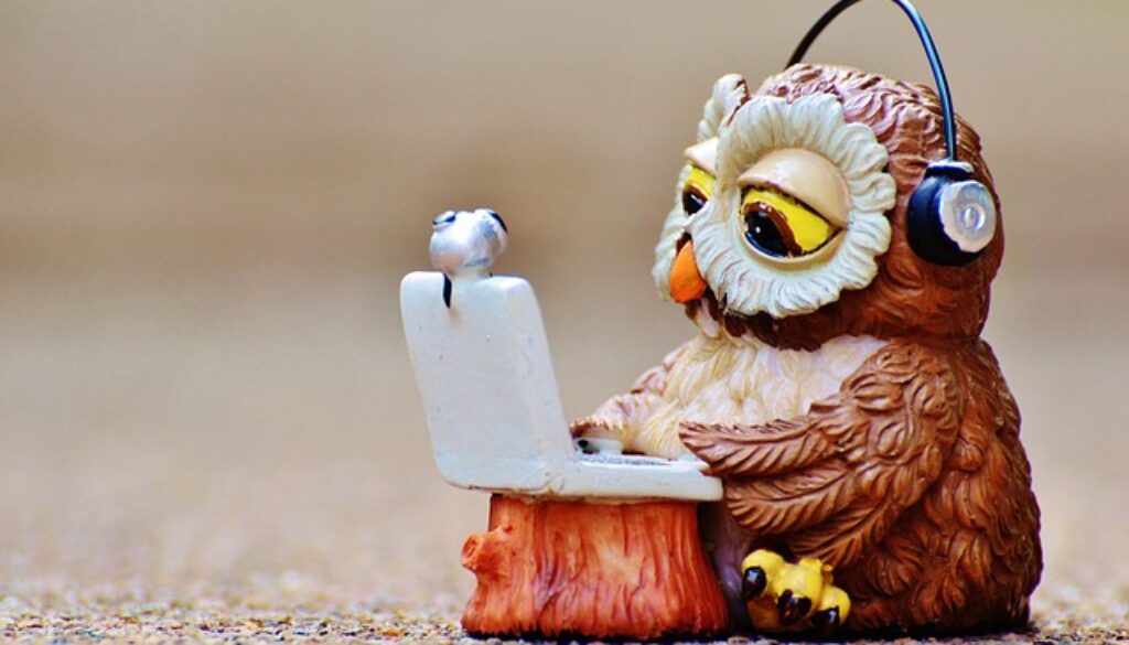 gufo pupazzetto che usa un computer portatile