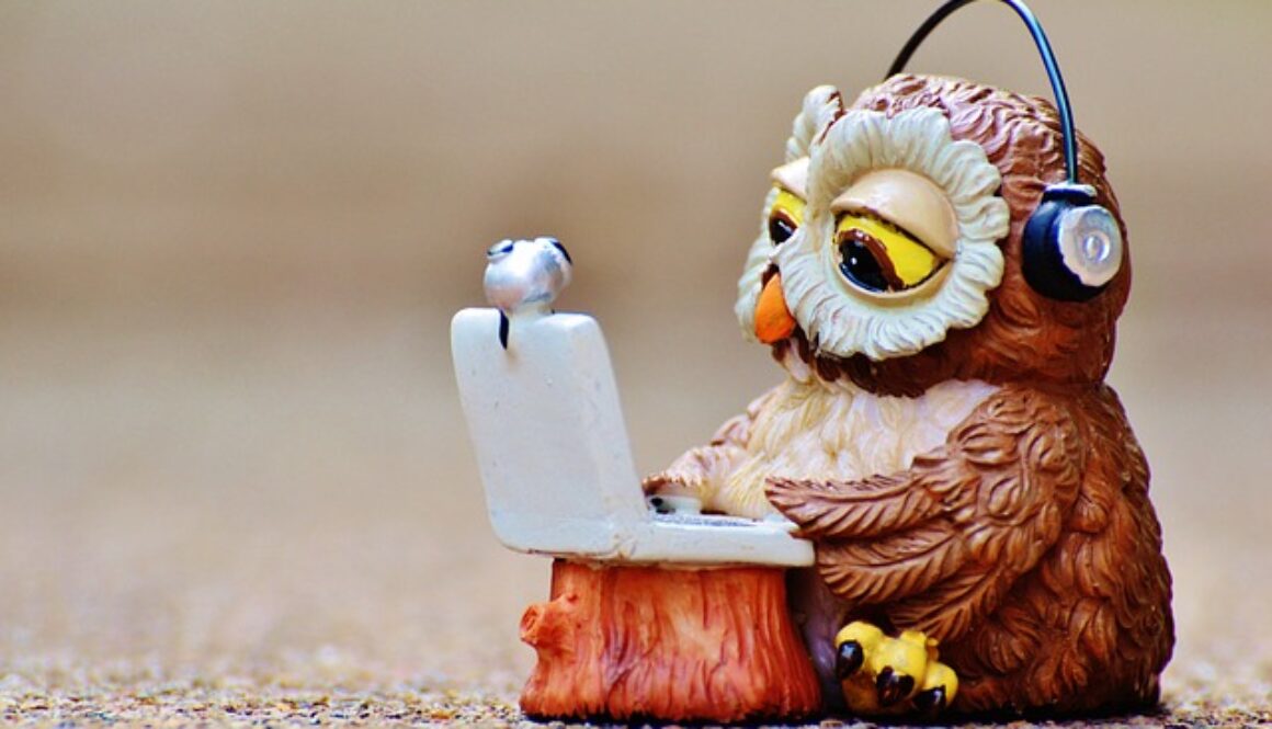 gufo pupazzetto che usa un computer portatile