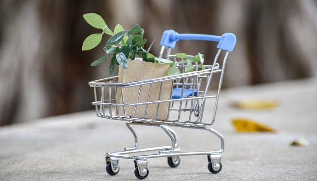 miniatura carrello supermercato con spesa