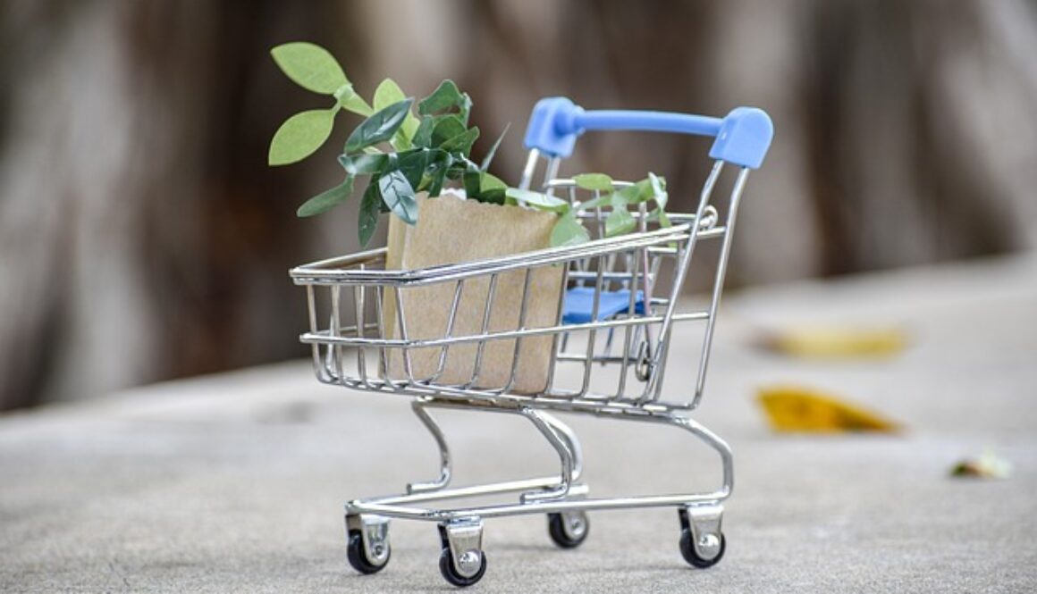 miniatura carrello supermercato con spesa