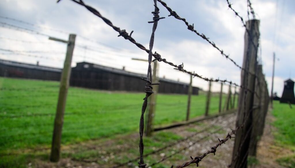 recinzione di campo concentramento. Giorno della memoria, film per non dimenticare