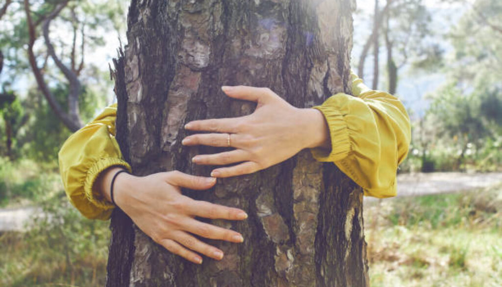 Huging a tree
