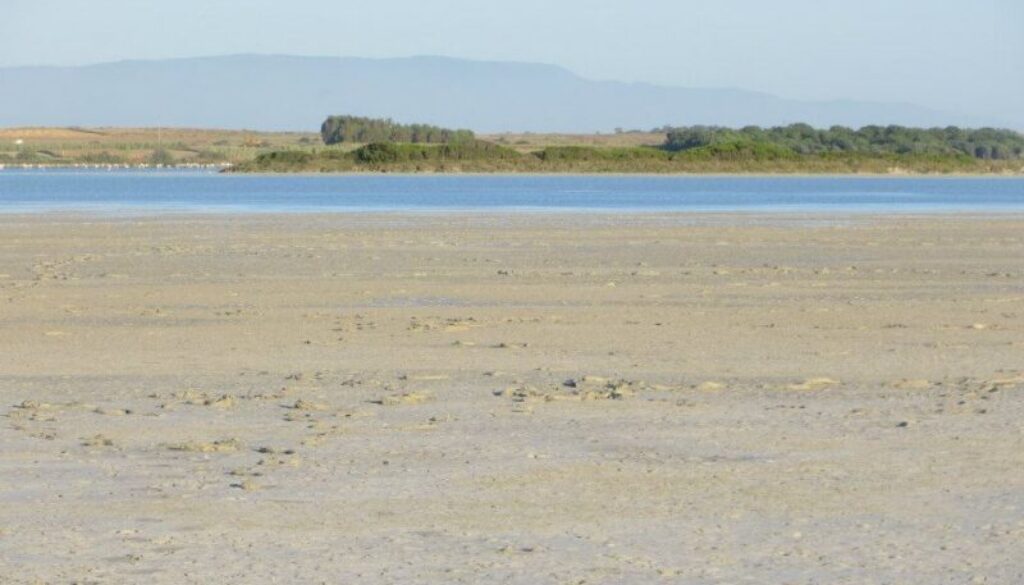 veduta di sal e porcu sardegna