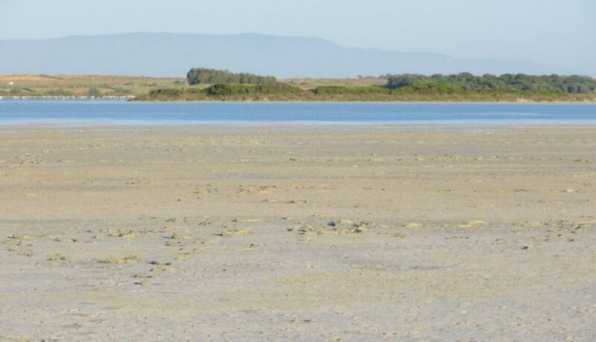 veduta di sal e porcu sardegna