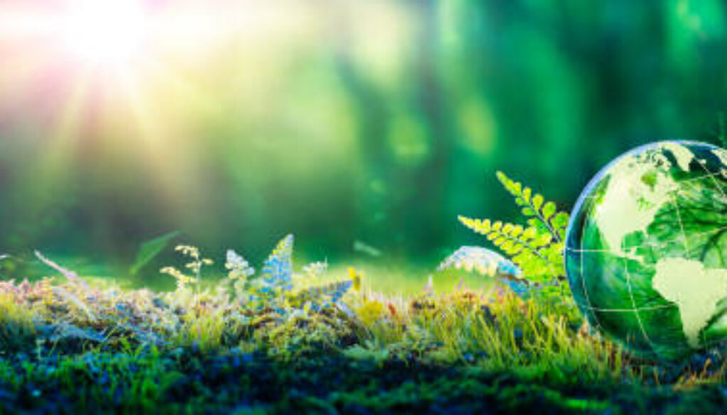 Environment Conservation - Green Globe Glass On Moss