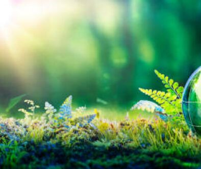 Environment Conservation - Green Globe Glass On Moss