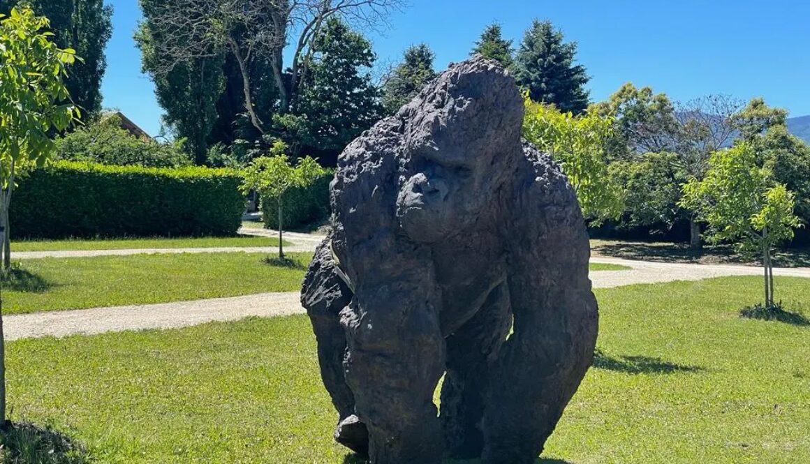 Davide-Rivalta_mostra_sogni_di_gloria