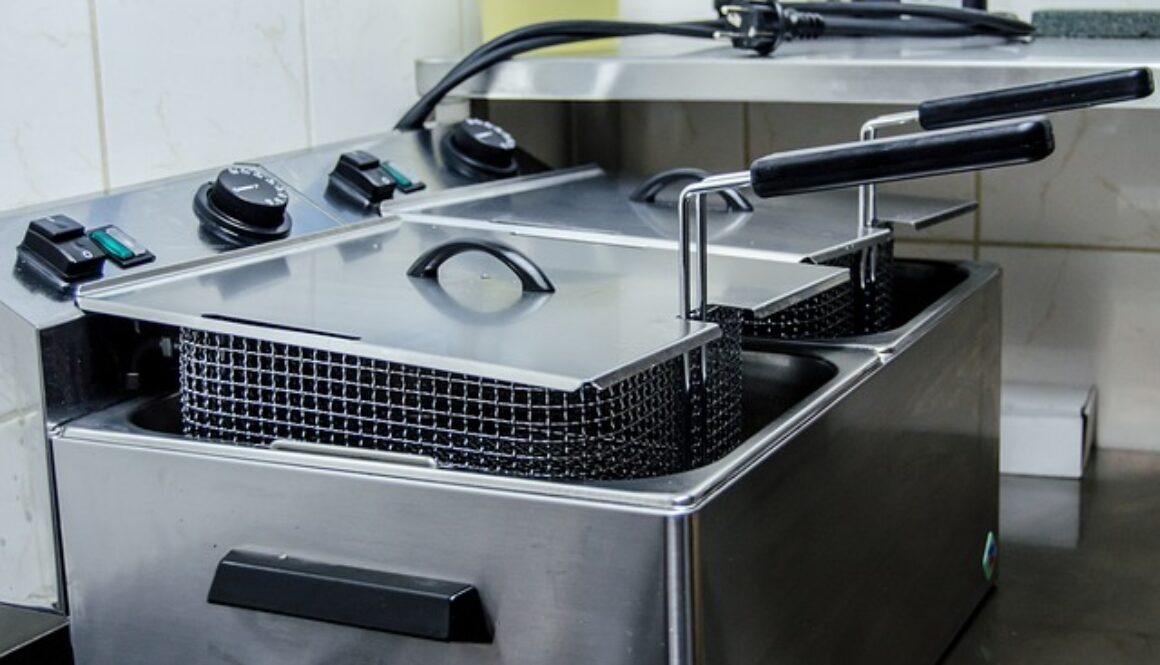 friggitrice professionale