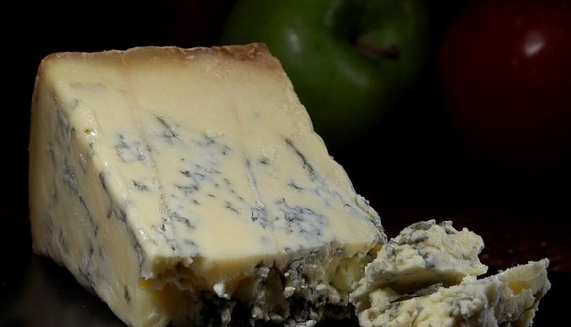 fetta di gorgonzola