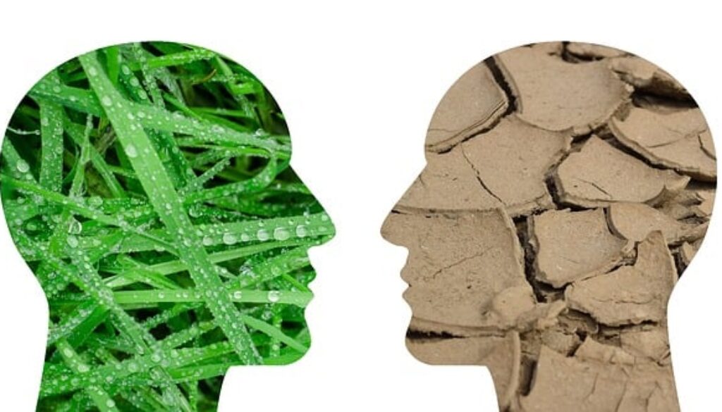 climate-change-2085527_640