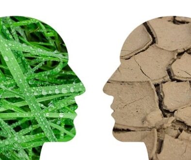 climate-change-2085527_640