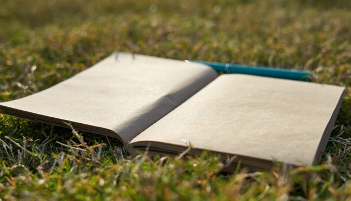 quaderno e penna su un prato