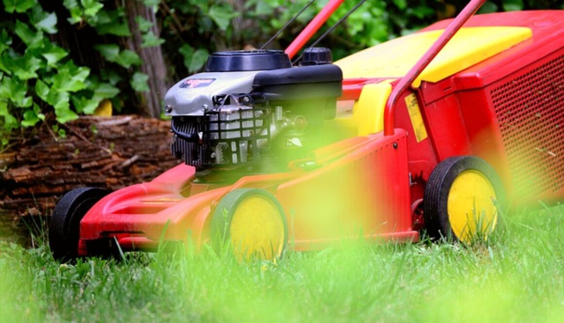 tosaerba. corso gratuito per addetto alla manutenzione del verde