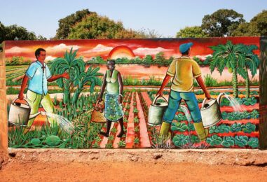 Per la sostenibilità agroalimentare in Burkina Faso