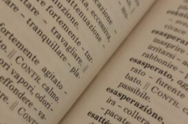 Comunicare in lingua italiana in ambito professionale, corso gratuito