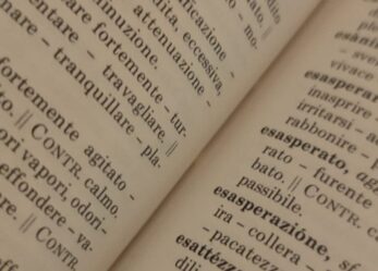 Comunicare in lingua italiana in ambito professionale, corso gratuito