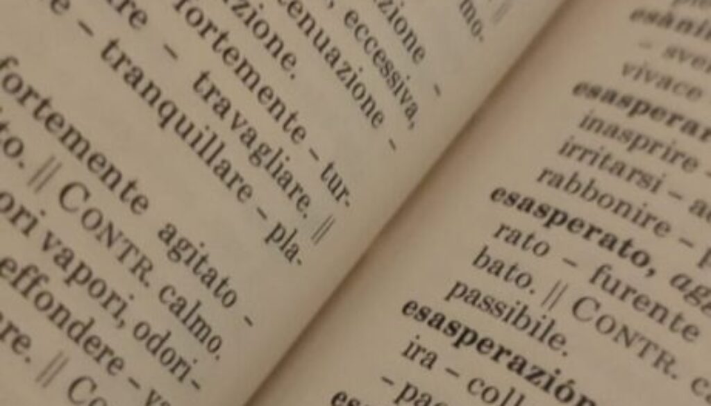 dizionario sinonimi e contrari. un corso per comunicare in lingua italiana in ambito professionale