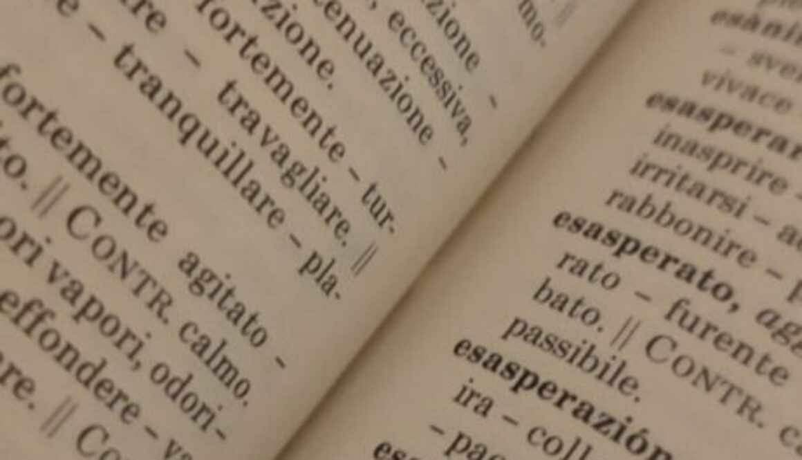 dizionario sinonimi e contrari. un corso per comunicare in lingua italiana in ambito professionale
