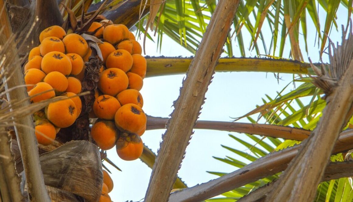 Tirocini per laureate/i in un Paese in via di sviluppo