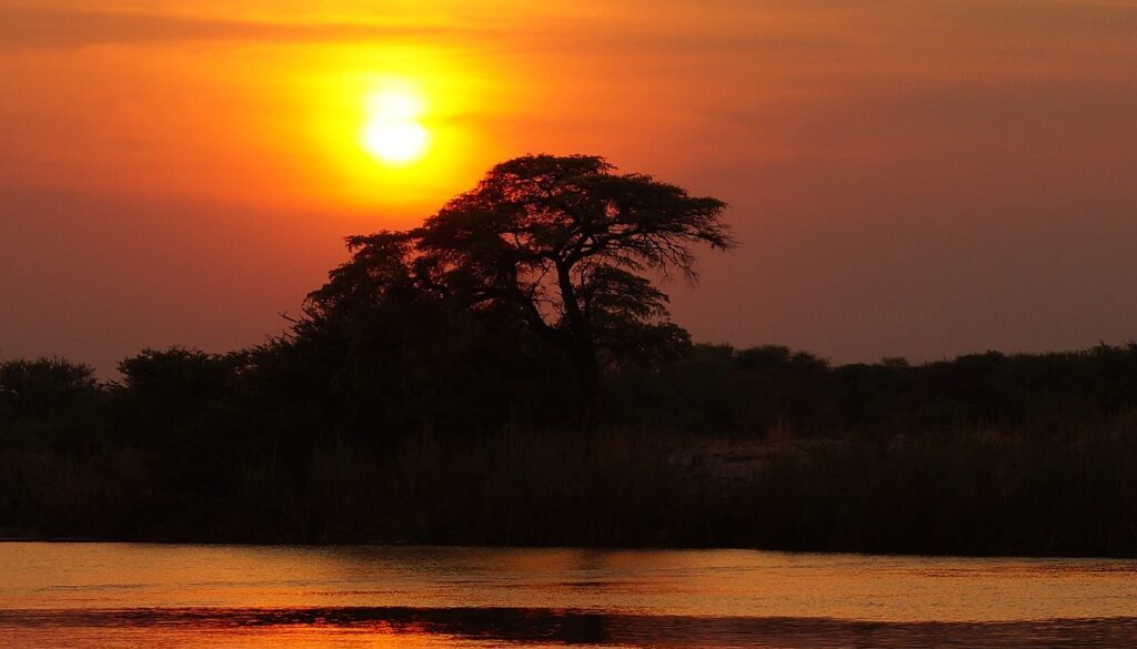 Vinci un viaggio in Africa e condividi la tua esperienza