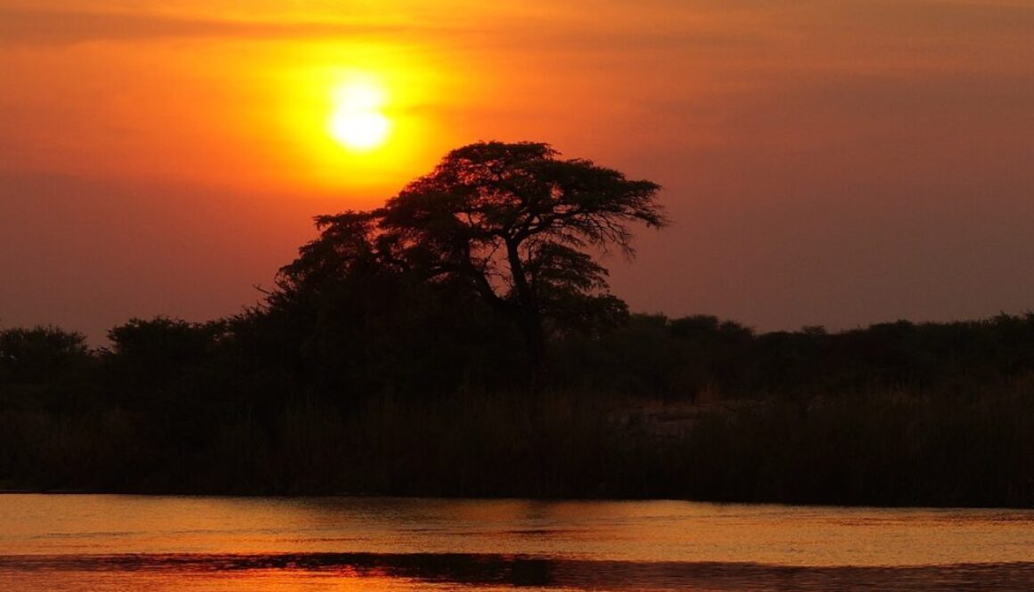 Vinci un viaggio in Africa e condividi la tua esperienza