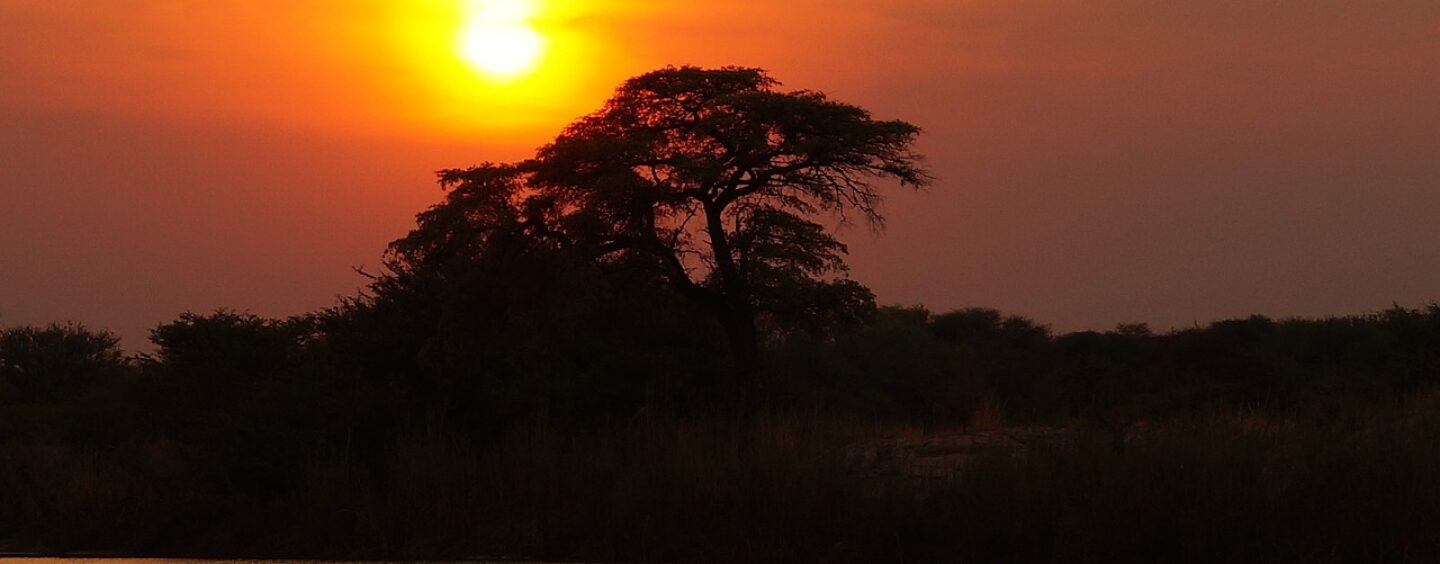 Vinci un viaggio in Africa e condividi la tua esperienza