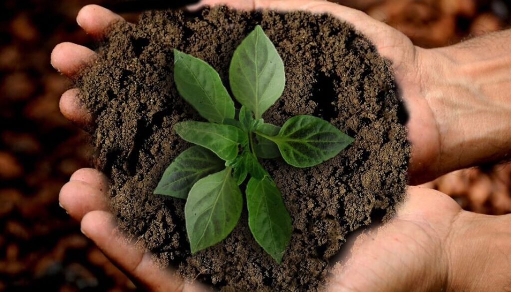 Borsa di studio per il tuo progetto sostenibile