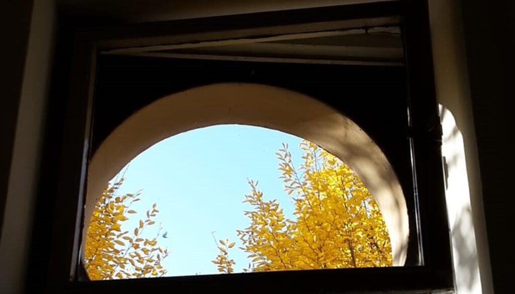 finestra su un giardino pubblico. MiaFotoBio è un contest per studenti