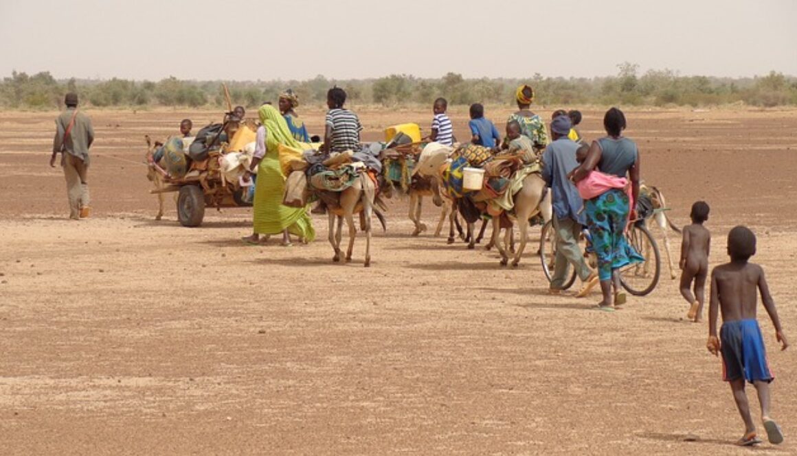 migranti in viaggio. concorso Diari multimediali migranti