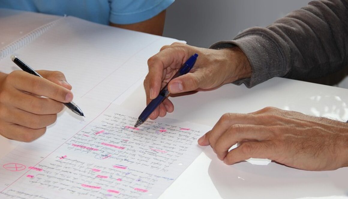 a Brescia corso gratuito per tutor delle politiche attive