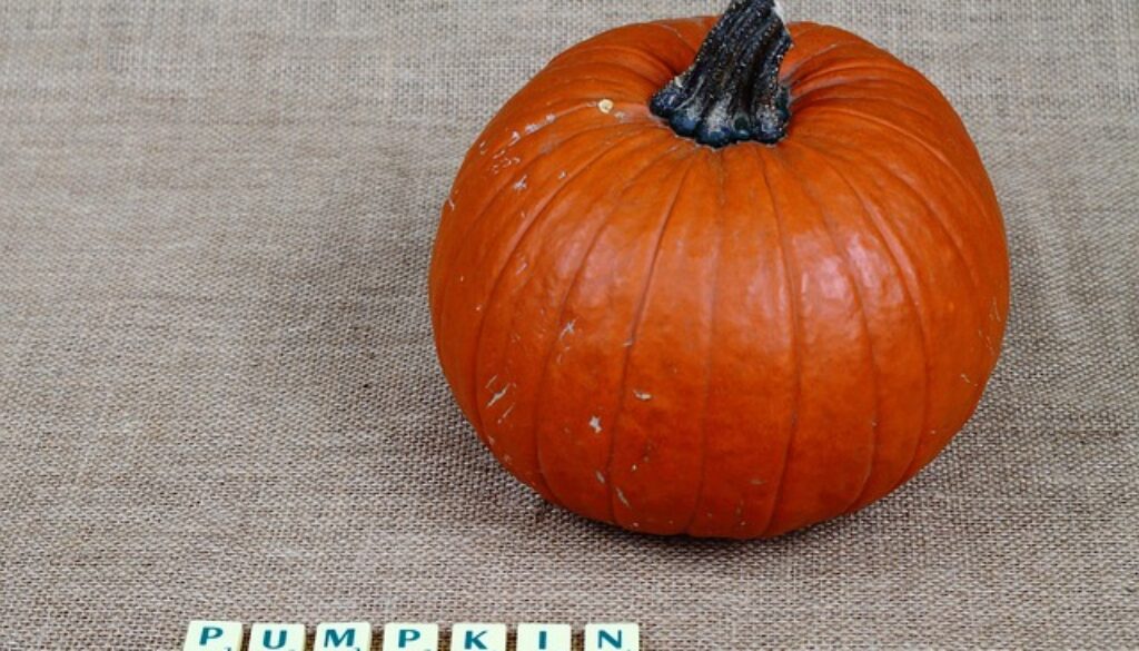 zucca con scritta pumpkin. a Brescia un corso gratuito di inglese base