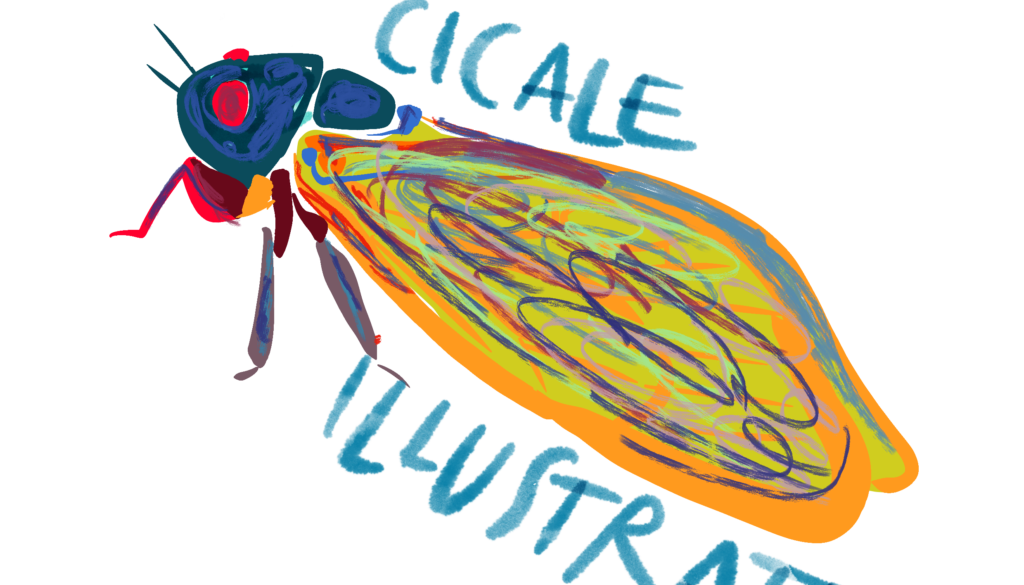 concorso artistico le cicale illustrate